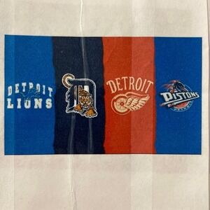 Detroit Lions Red Wings Tigers Pistons Flag Mancave Sports Banner Grommets 5'x3'